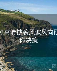 探花视频高清抄袭风波风向研判，助你决策