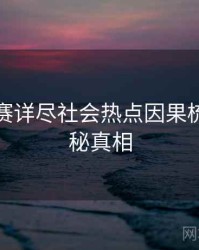 每日大赛详尽社会热点因果梳理，揭秘真相