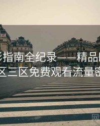 详尽观影指南全纪录——精品欧美一区二区三区免费观看流量密码