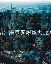 独家深扒：麻豆网粉丝大战流量密码