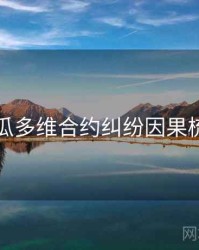 吃瓜多维合约纠纷因果梳理