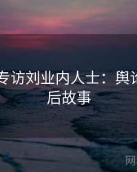 吃瓜51专访刘业内人士：舆论漩涡幕后故事