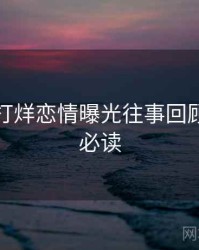黑料不打烊恋情曝光往事回顾，避坑必读