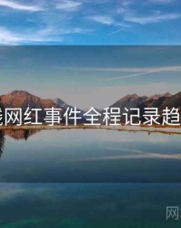 91在线网红事件全程记录趋势洞察