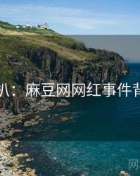 独家深扒：麻豆网网红事件背后原因