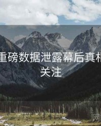 91黑料重磅数据泄露幕后真相，值得关注