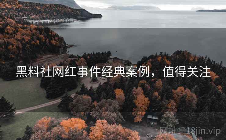 黑料社网红事件经典案例，值得关注